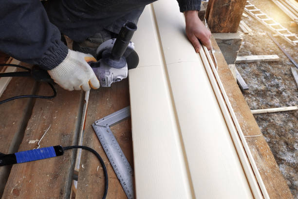 Best Custom Siding Design  in Dahlone, GA